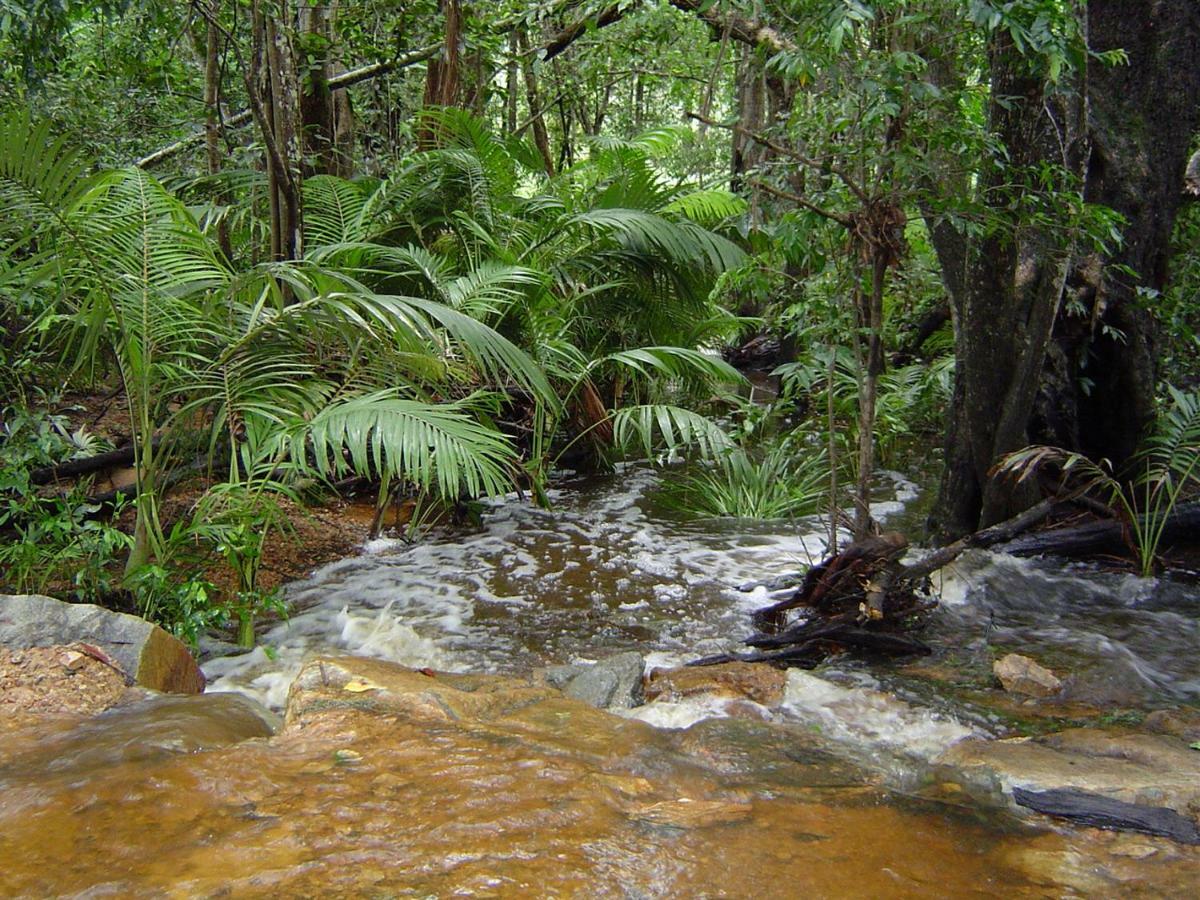 Forest Lodge: Little Villa Agnes Water Luaran gambar