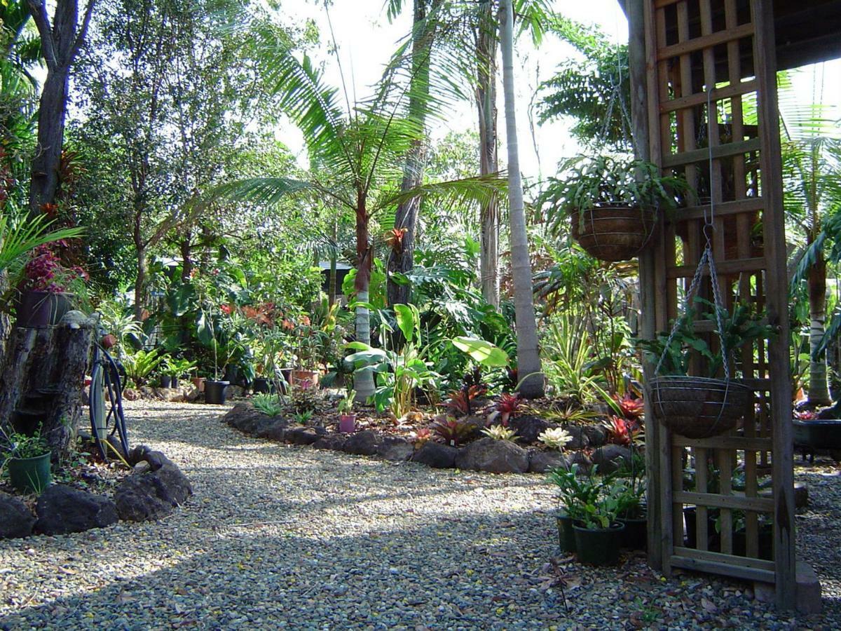 Forest Lodge: Little Villa Agnes Water Luaran gambar