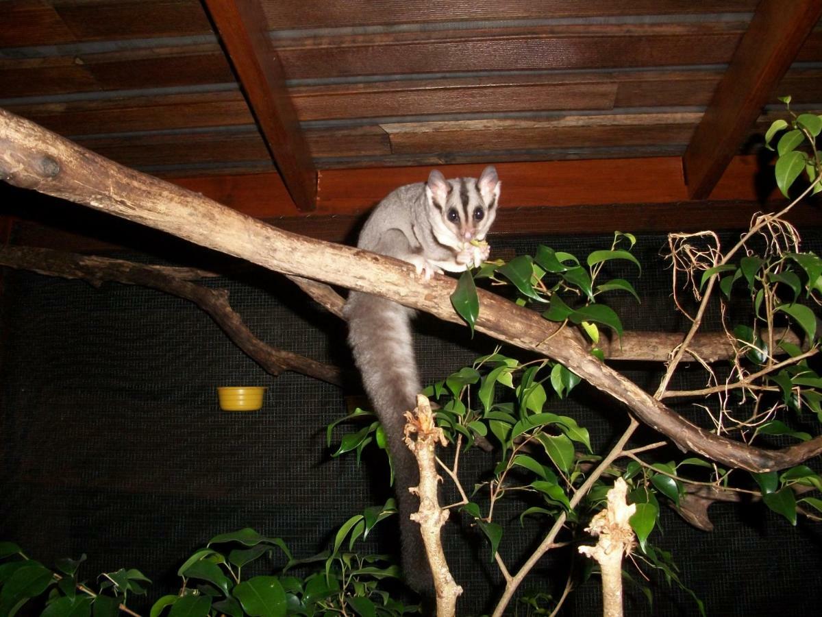 Forest Lodge: Little Villa Agnes Water Luaran gambar